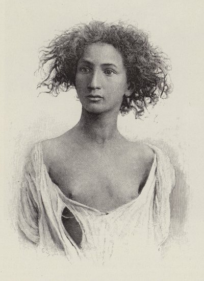 An Aurasian Arab by American School